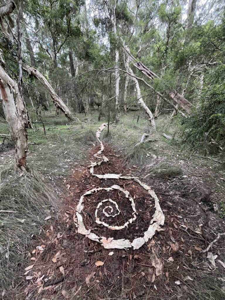Spiral form made with PaperBark in a forest