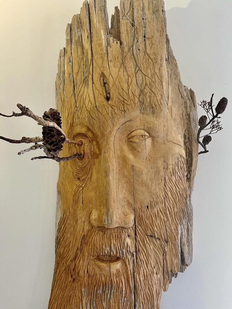 Close up of wooden relief sculpture of a head. The top and bottom are weather eroded. The right eye had two banksia branches protuding from a double hole with a banksia cone sitting up from one. The right eye looks out to the side.