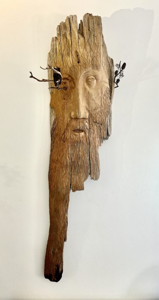 A wooden relief sculpture of a head. The top and bottom are weather eroded. The right eye had two banksia branches protuding from a double hole with a banksia cone sitting up from one. The right eye looks out to the side.